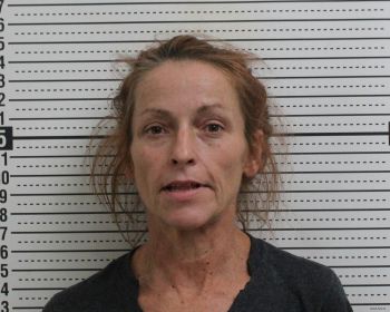 Michelle Faye Detty Mugshot