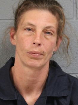 Michelle Ellen Hardesty Mugshot