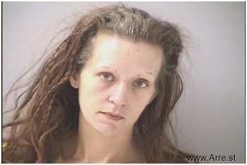 Michelle L Hinterlong Mugshot