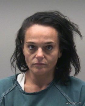 Michelle Lynn Howard Mugshot