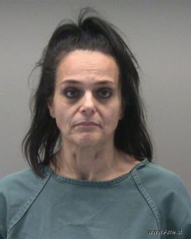 Michelle Lynn Howard Mugshot