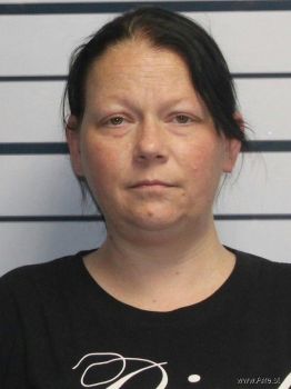 Michelle Lynn Johnson Mugshot