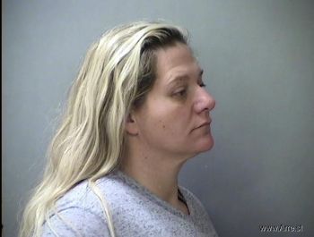 Michelle Lee Mayer Mugshot