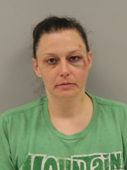 Michelle Lynn Miller Mugshot