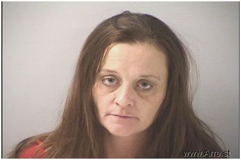 Michelle Lee Mills Mugshot