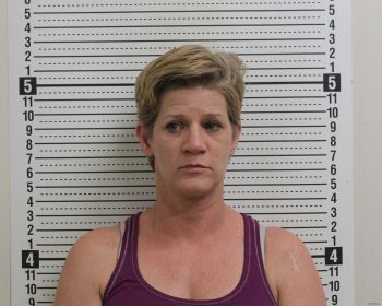 Michelle A Price Mugshot