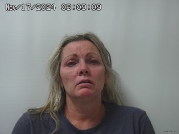 Michelle  Sawyer Mugshot