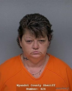 Michelle Llynn Schlosser Mugshot