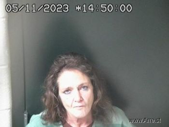 Michelle Lynn Schuster Mugshot