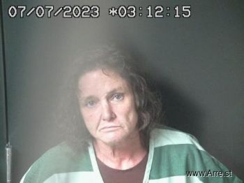 Michelle Lynn Schuster Mugshot