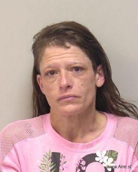 Michelle Ann Whitman Mugshot