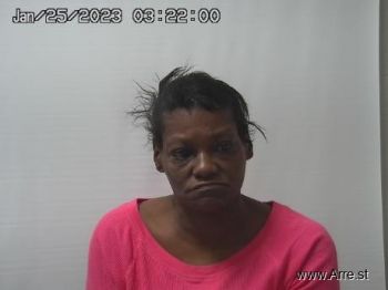 Michelle  Woodfork Mugshot