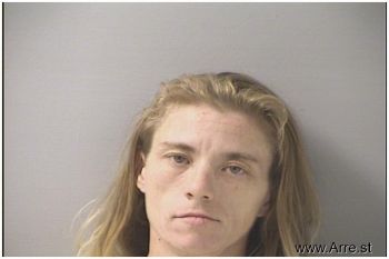 Michelle Lee Wyatt Mugshot