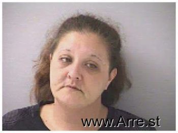 Mindy Sue Johnson Mugshot