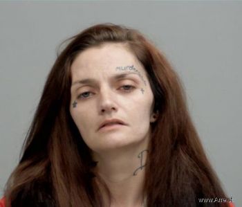 Mindy Lee Rose Mugshot