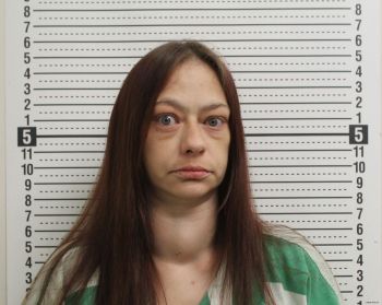 Minetta L Rippeth Mugshot