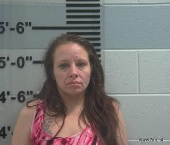 Misty Noel Anderson Mugshot