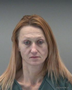 Misty Sue Cook Mugshot