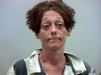 Misty  Johnson Mugshot