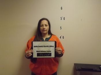 Misty  Perry Mugshot