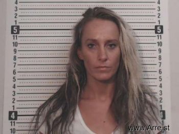 Misty L Smith Mugshot