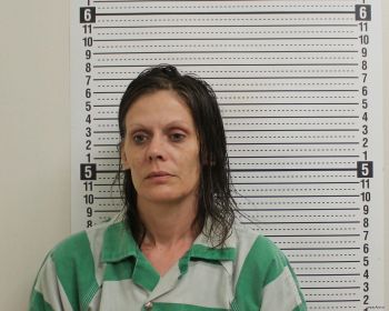 Misty R Vanhooser Mugshot