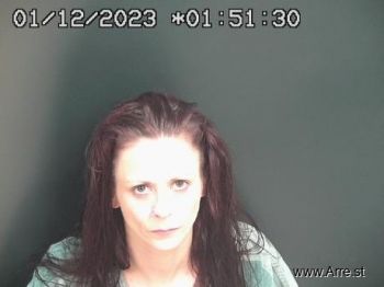 Monica Elizabeth Delk Mugshot