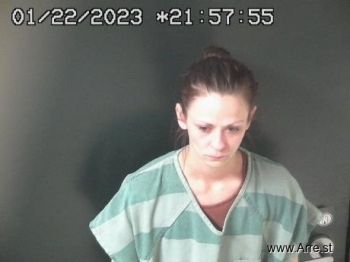 Monica Elizabeth Delk Mugshot