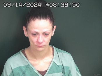 Monica Elizabeth Delk Mugshot