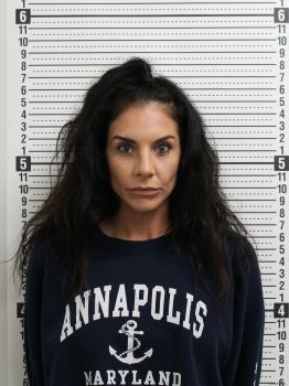 Monica L Megaro Mugshot