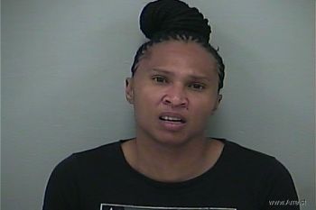 Nicole Ashley Mitchell Mugshot