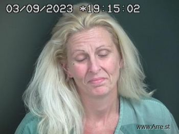 Nancy Elizabeth Bowles Mugshot