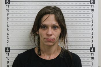 Natasha L Boyer Mugshot