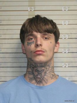 Nathaniel S Fields Mugshot