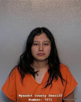 Nayeli V Ayala Mugshot