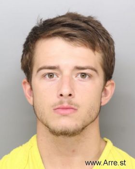 Nicholas  Bella Mugshot