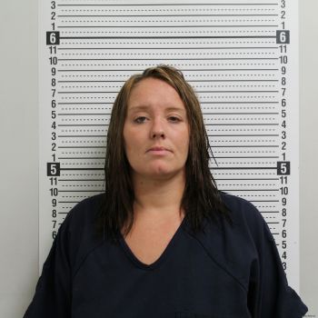 Nicole Renee Collins Mugshot