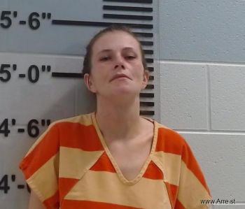 Nicole Ann Gardner Mugshot