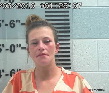 Nicole Ann Gardner Mugshot