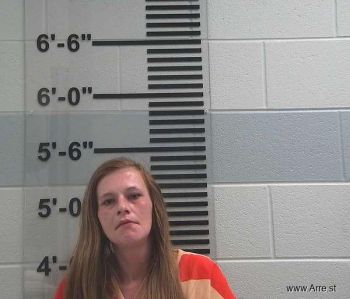 Nicole Ann Gardner Mugshot