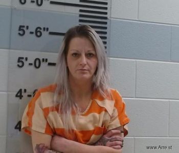 Nicole L Mosher Mugshot