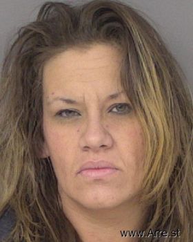 Nicole Marie Mullins Mugshot