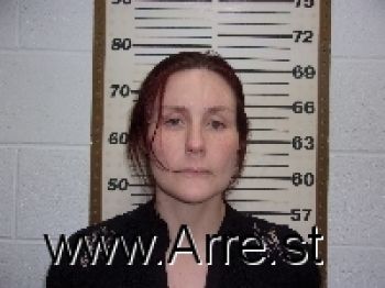 Nicole Lynn Snyder Mugshot