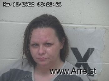 Nikki Anna Frye Mugshot