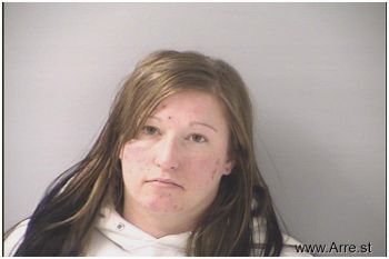 Nikki Lynn Mehlman Mugshot