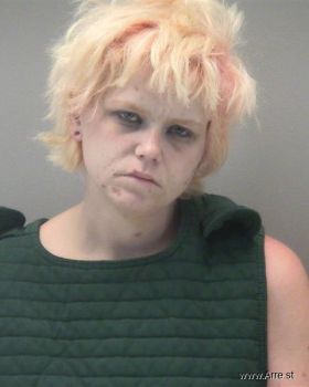 Paige Courtney Palmer Mugshot