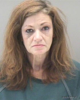 Pamela Susan Hayes Mugshot