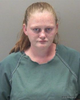 Patricia Ann Anderson Mugshot