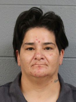 Patricia Ann Garcia Mugshot