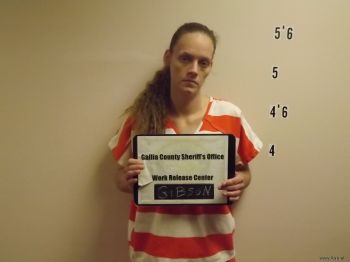 Patricia  Gibson Mugshot